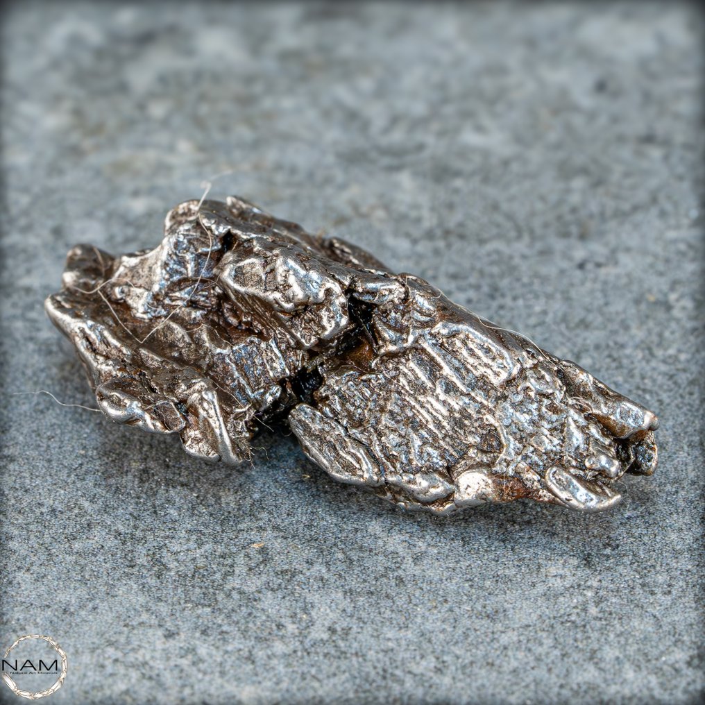 Natuurlijke meteoriet Campo Del Cielo Groot, Argentinië- 21.46 g #1.0