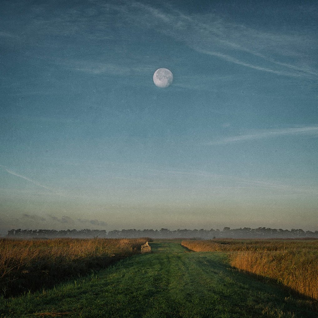 Tessa Posthuma de Boer - Walks #6 #1.0