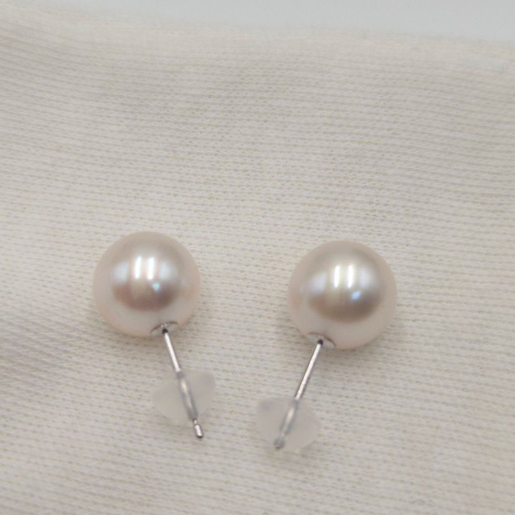 χωρίς τιμή ασφαλείας - Καρφωτά σκουλαρίκια - 14 καράτια Λευκός χρυσός Μαργαριτάρι - Ασημένια σκουλαρίκια K14 Akoya 9,0mm #2.1