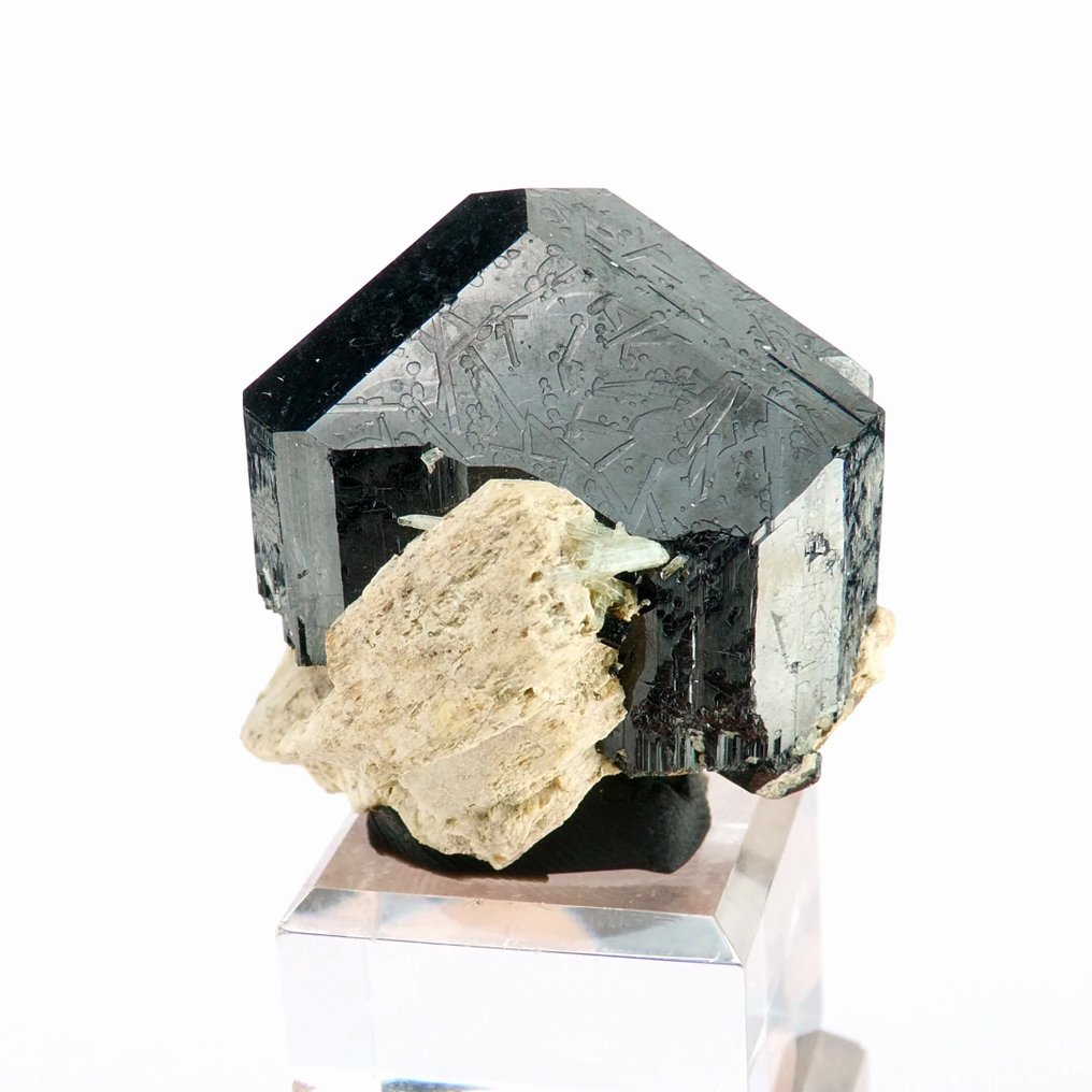 黑云母在正长石上的表现与海蓝宝石 - Erongo 山脉，Karibib，纳米比亚 - 高度: 4 cm - 宽度: 3 cm- 39 g #1.0