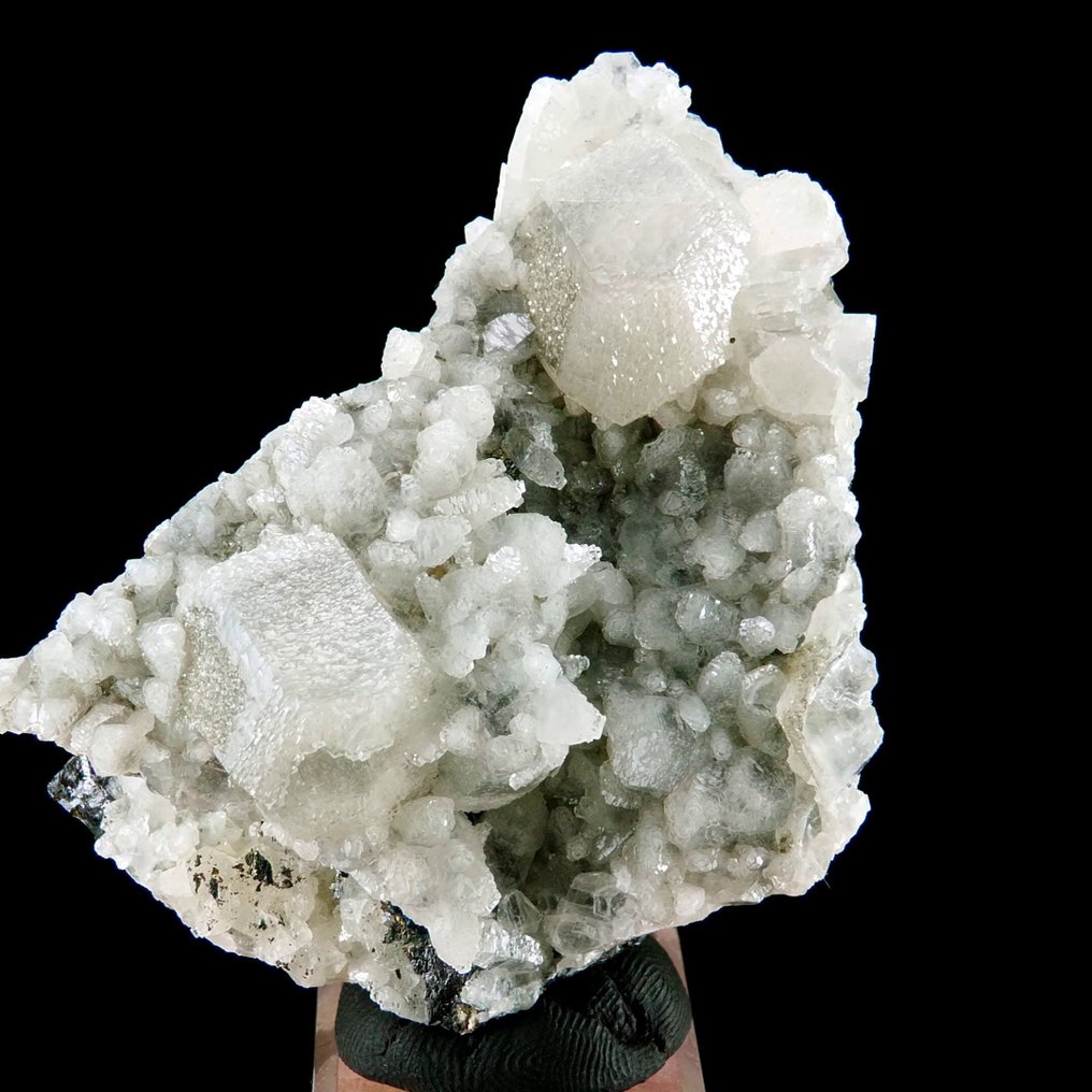 Ασβεστίτης Le Rivet, Peyrebrune, Tarn, Γαλλία - Ύψος: 5.7 cm - Πλάτος: 4.5 cm- 92 g #1.0