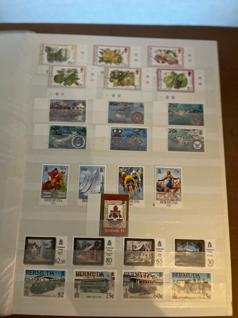 百慕大 1988/2016 - 非常充实，愉快的购买。 #4.3