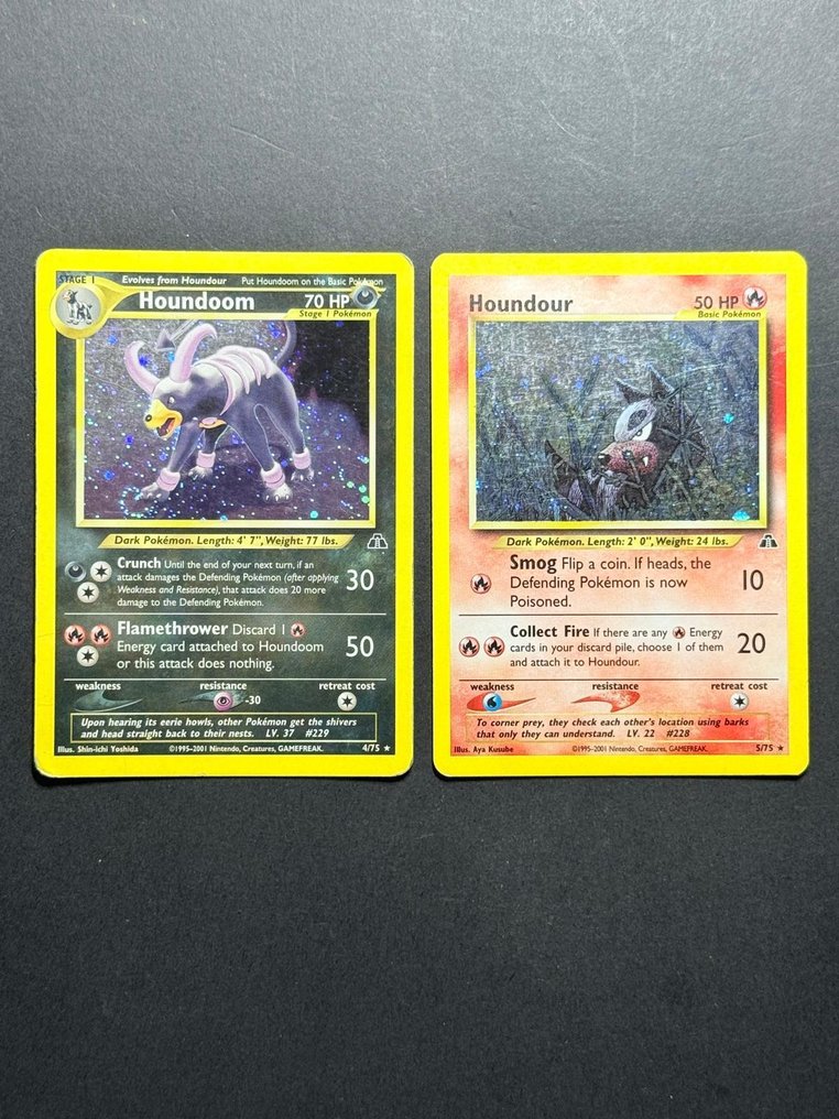 Pokémon - 2 Card - Houndoom, Houndour Holo - WOTC - Neo Discovery #1.0