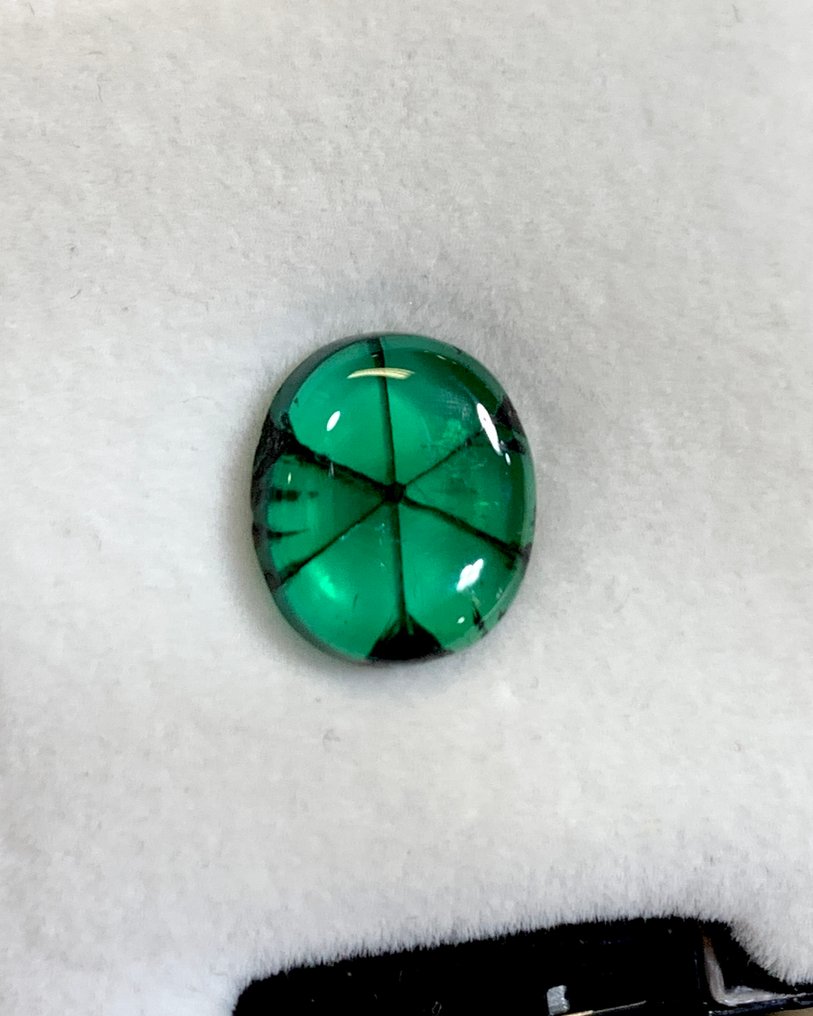 1 pcs 绿色, 黑色 祖母绿 - 6.14 ct - 美国吉尔德宝石实验室 - 天然Trapiche祖母绿 #1.0