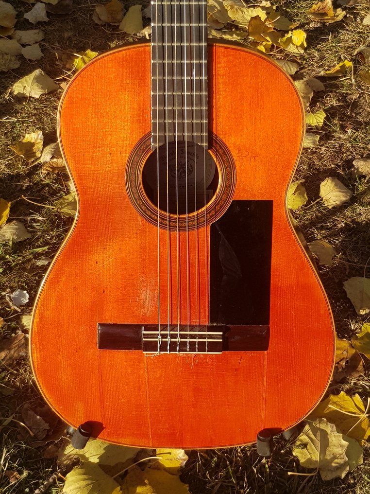 Vicente Sanchís -  - Classical guitar - Spain #1.0