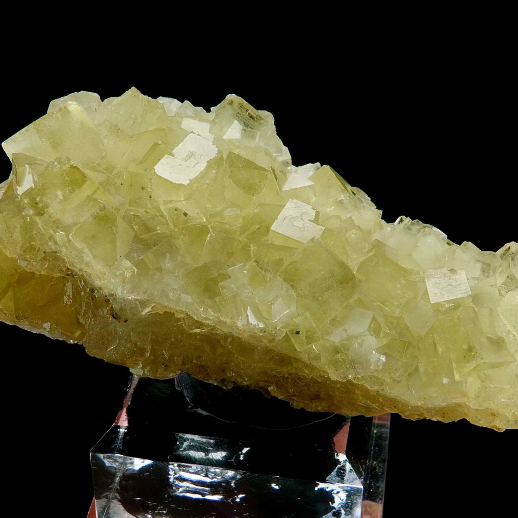 Φθορίτης (ανακρυσταλλωμένος ελεύθερος με χαλαζία) - Fontsante mine, Tanneron, Var, Γαλλία - Ύψος: 9.5 cm - Πλάτος: 4.2 cm- 199 g #1.0