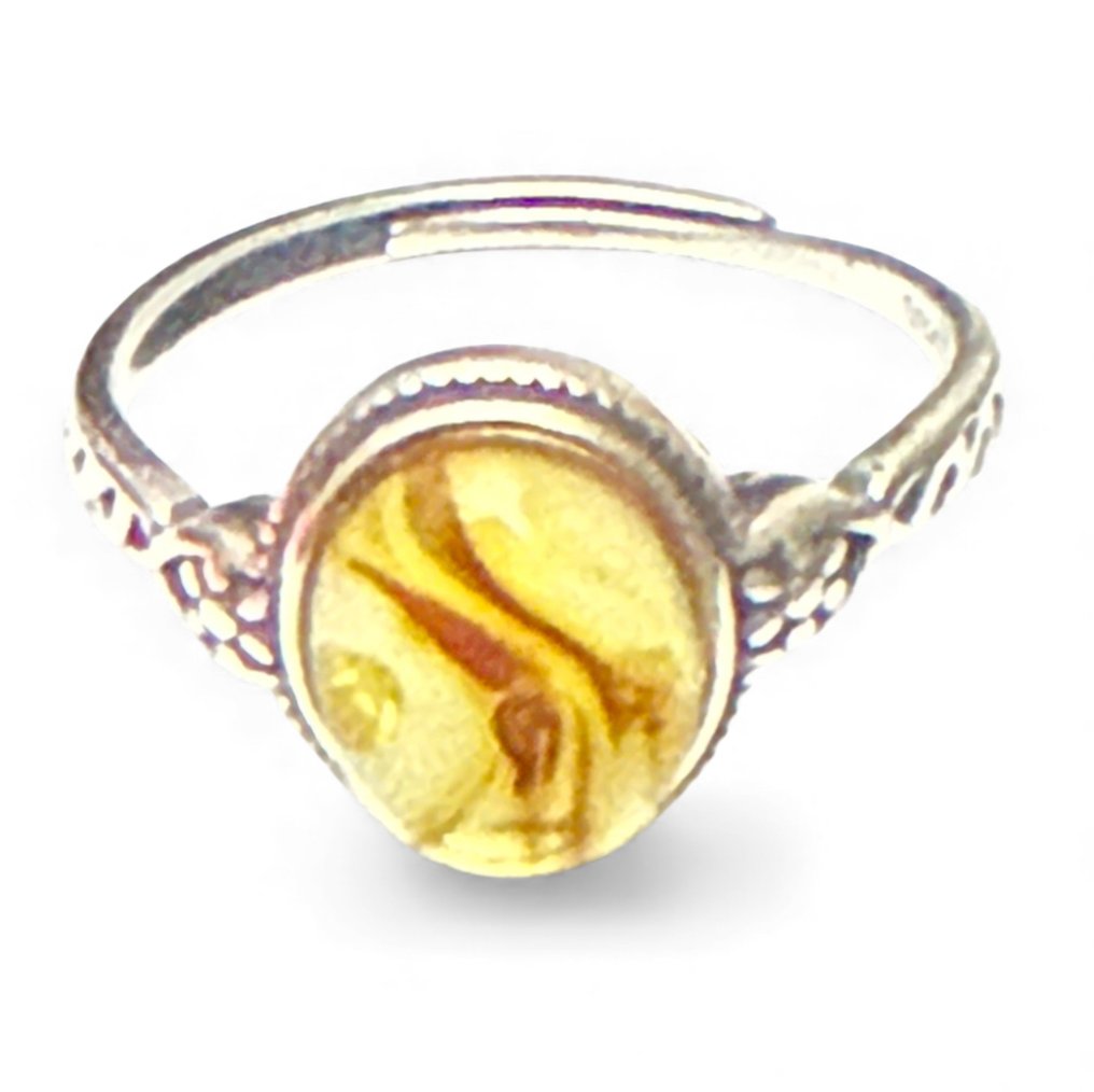 Baltisk rav - Rav (Ingen mindstepris) #1.0