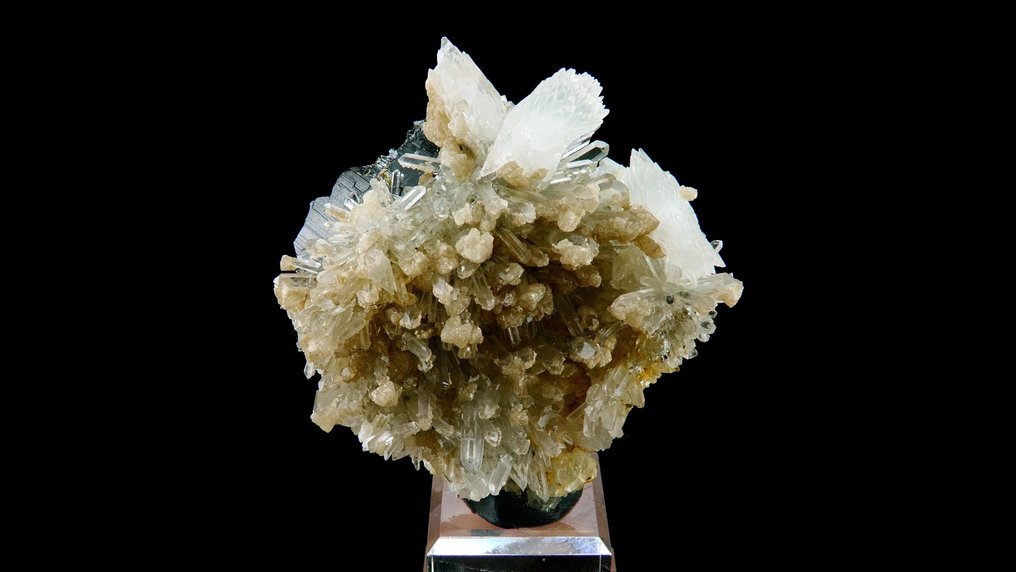 Καλλίτης 'καπέλα' με Δολίτη σε Κρύσταλλο και Σφαλερίτη. - Ορυχείο Μπάλντουτ, Cavnic, Maramureș, Καρπάθια, Ρουμανία - Ύψος: 6.3 cm - Πλάτος: 5.2 cm- 62 g #3.2