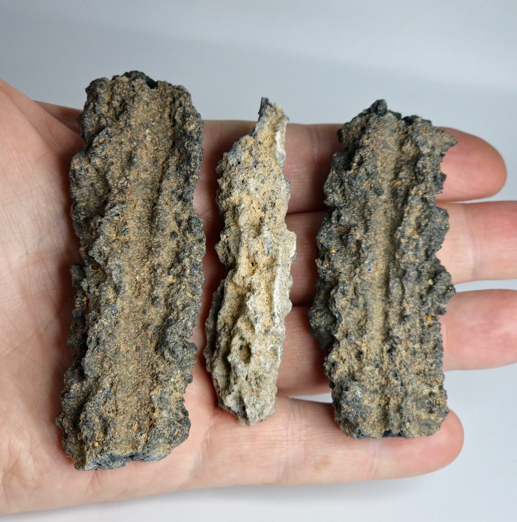 弗尔古赖特 当闪电击中沙质或岩石地形时形成的。 - 46.84 g - (1) #1.0