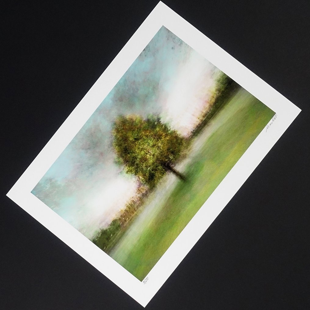 Frank Machalowski - stadtbaum#79 #4.3