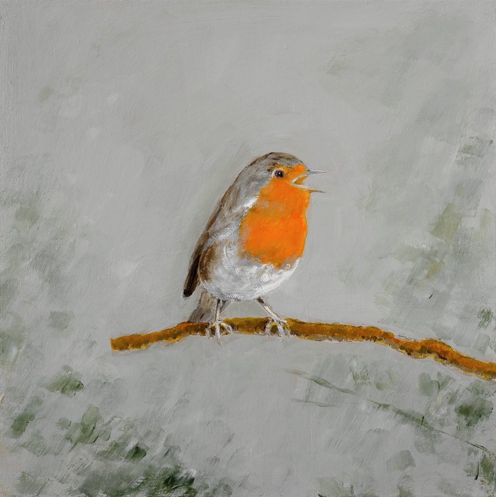 Matthieu van Riel - Roodborstje #1.0