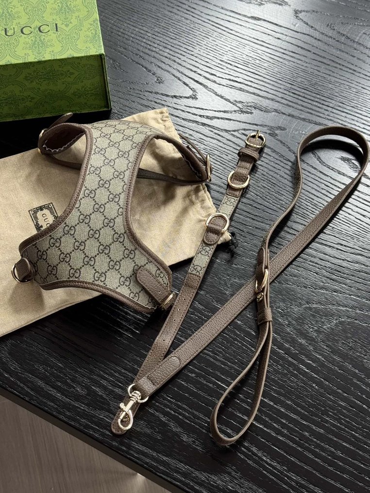 Gucci - 宠物配件 #4.3
