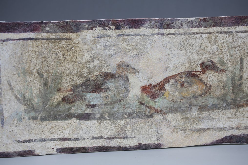Ancient Roman, Empire Lime plaster with dry powder pigment Fragment of a wall painting with ducks - 317 mm #3.2