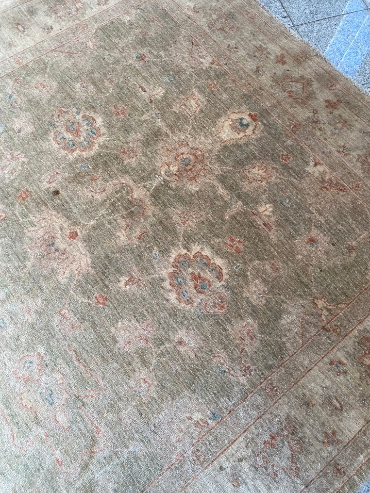 Ziegler - Szőnyeg - 250 cm - 170 cm #1.0