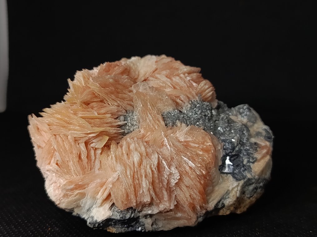 Cerussite on Galena and Baryte Crystals on matrix - Height: 3.9 cm - Width: 5.3 cm- 230 g - (1) #1.0