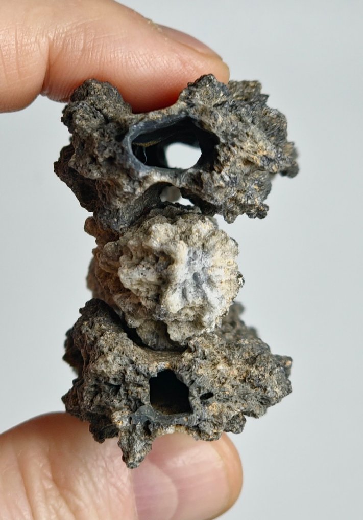 弗尔古赖特 当闪电击中沙质或岩石地形时形成的。 - 46.84 g - (1) #1.0