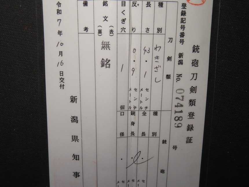 Katana - Tamahagane Steel - Wakizashi w/White Sheath : A6-245 - Japonia - Edo Period (1600-1868) #1.0