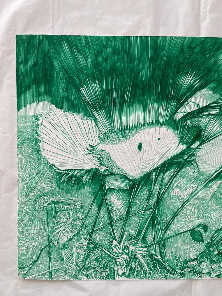 N. Magro - The artist's archive II: “Botanischen Garten Berlin” A/B/C #4.3