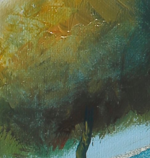 Guido Borelli - camillo #4.3