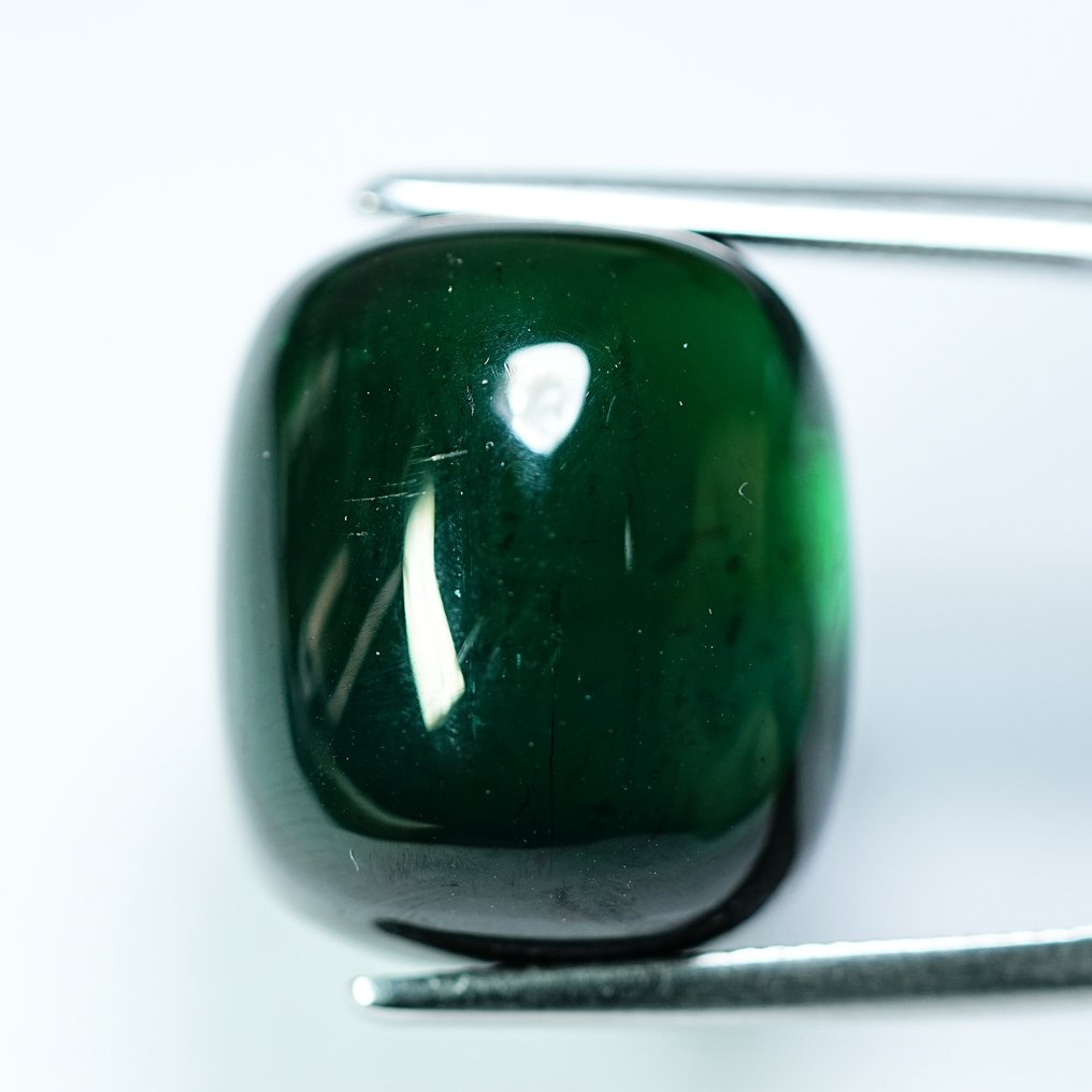 Πράσινο Τουρμαλίνης  - 49.39 ct - Διεθνής Ένωση Έγχρωμων Πολύτιμων Λίθων (ICA GemLab) - Αντικείμενο δήλωσης αντίκας #1.0