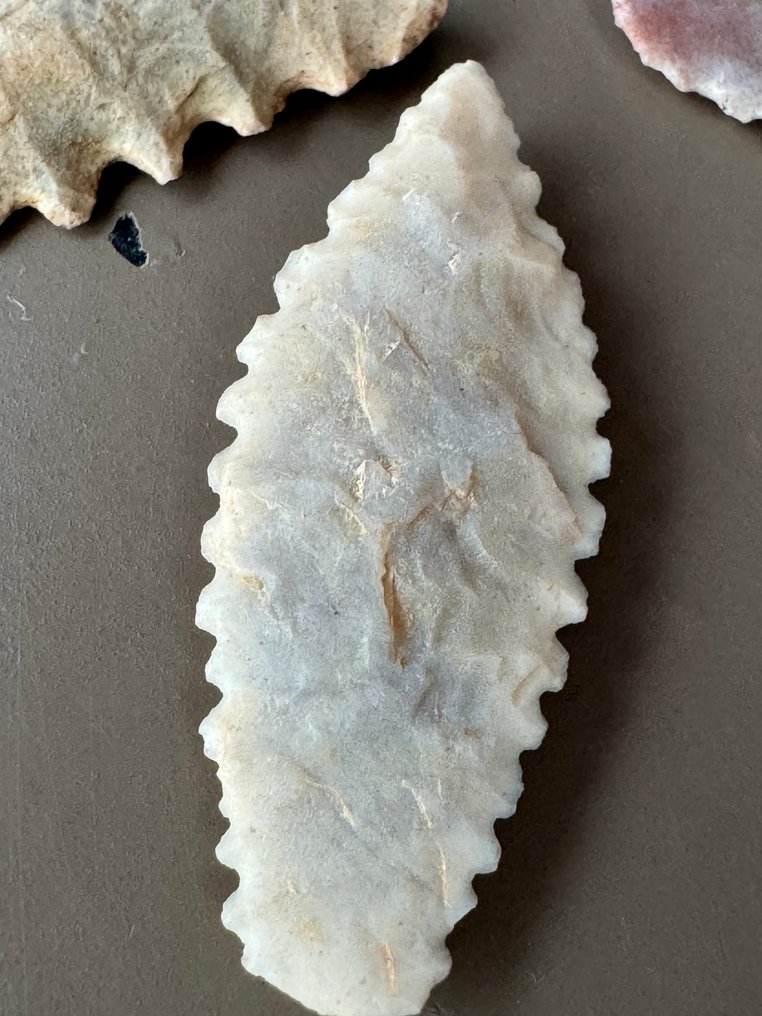 Sahara Selce Punta di freccia - 41 mm  (Senza Prezzo di Riserva) #4.3