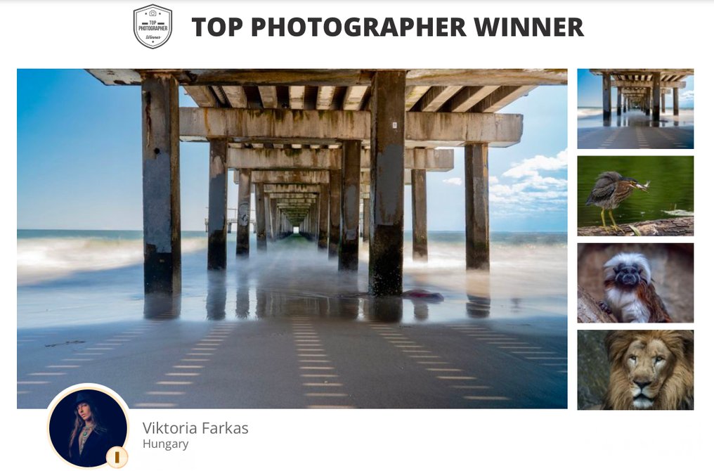 Viktoria Farkas - Under The Pier - Grand Prize Winner from the "My Perfect Shot" #4.3