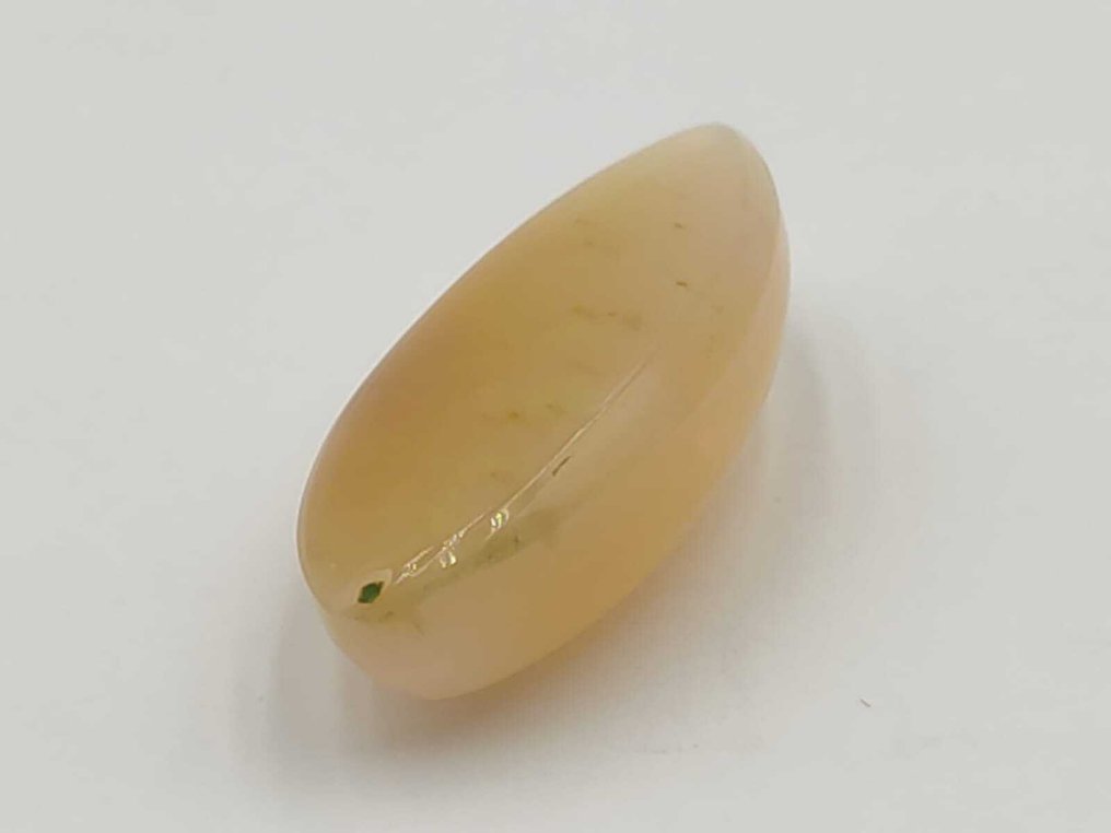 No Reserve Price - 1 pcs  Multicolour Opal  - 21.13 ct - Antwerp Laboratory for Gemstone Testing (ALGT) - No Reserve Price #4.3