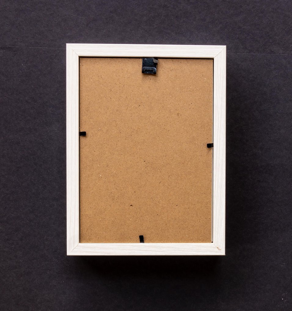 Farfalla Allestimento tassidermico a corpo intero - Morpho deidamia - 20.5 cm - 15 cm - 4 cm #3.2