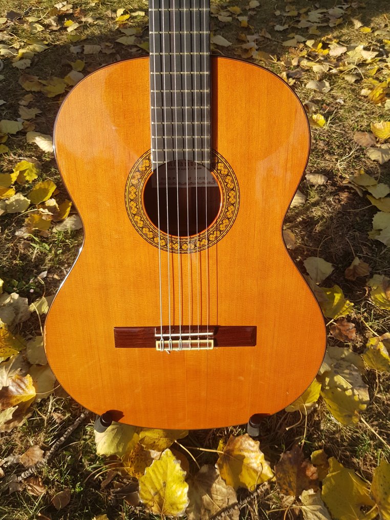 Alhambra - 5P - - Classical guitar - Spain #1.0
