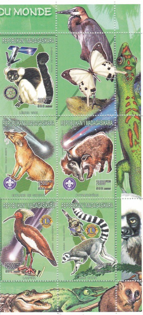 World 2010/2023 - FAUNA 24 A4, 141 blocks #3.2