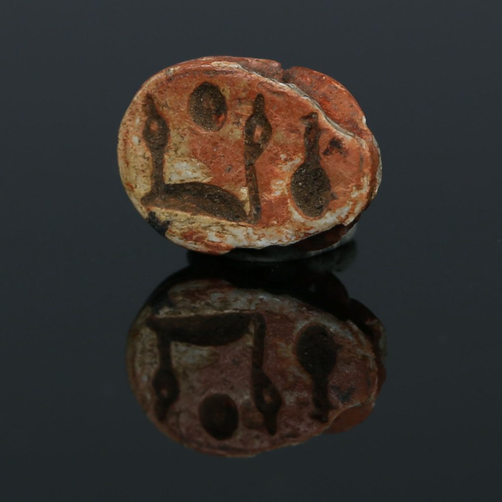 Αρχαία Αίγυπτος, τρίτη ενδιάμεση περίοδος Στεατίτης Σκαραβαίος του Νεφερκάρ, από το ΜΟΥΣΕΙΟ. Ισπανική Άδεια Εξαγωγής. #2.1