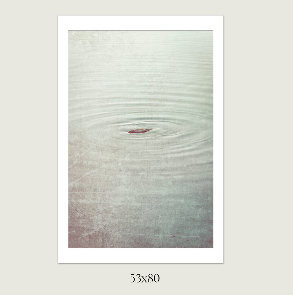 Jorge Omeñaca (1981) - Life circles #1.0