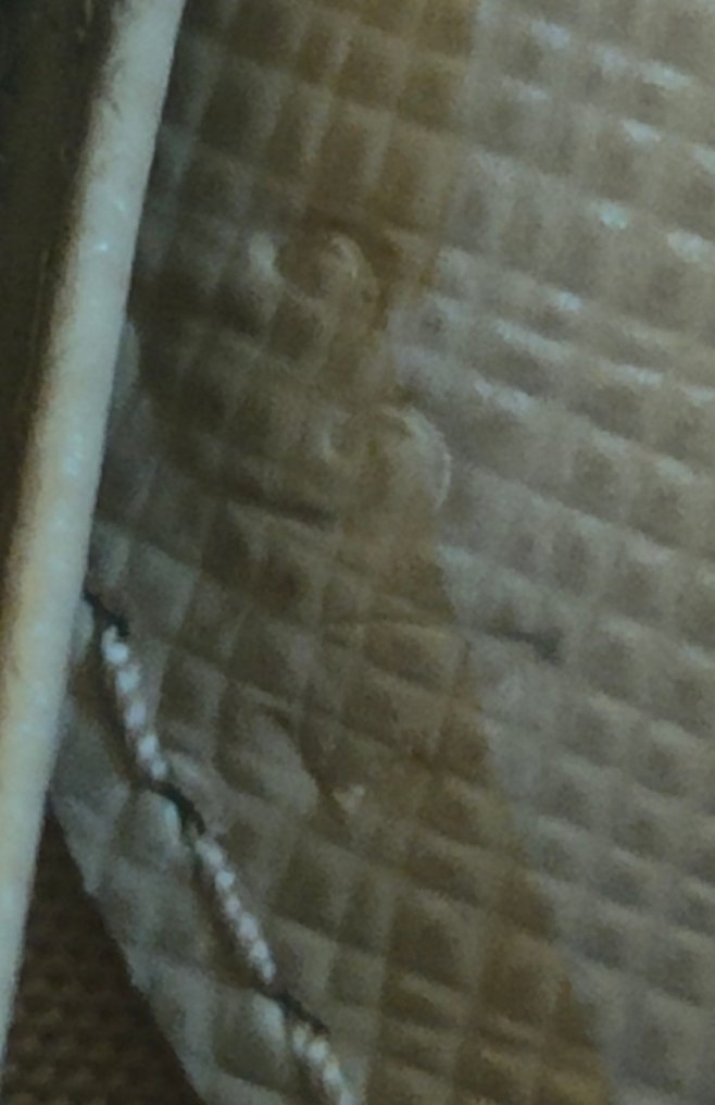 Prada - Lang tegnebog #4.3