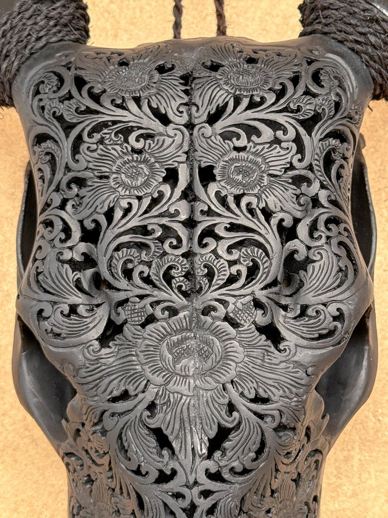 Χωρίς τιμή ελάχιστης προσφοράς - Σκαλιστό Μαύρο Κρανίο Βοδιού - Μεγάλο Μοτίβο Λωτού Λαξεμένο κρανίο - Bos Taurus - 54 cm - 40 cm - 14 cm- Είδη που δεν ανήκουν στο CITES #1.0