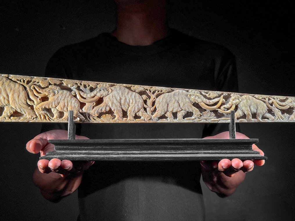 无底价 - 精细雕刻的大型剑鱼吻部,放置在定制底座上 - 史前野生动物 吻突 - Xiphias Gladius - 14 cm - 83 cm - 6 cm- 非《濒危物种公约》物种 - (1) #2.1