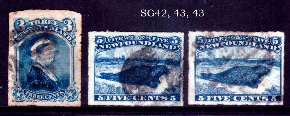 Neufundland 1876/1879 - Rouletted-Set - Stanley Gibbons #3.2