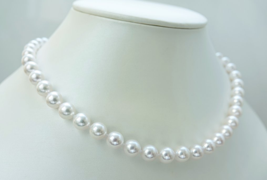 Collana Argento Perla - Perla di Akoya rotonda 8-8,5mm #2.1