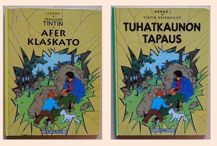 Hergé - 2 Two translations of the Zonnebloem case, Fins and Bretons, 1997–2007. - Kuifje #1.0