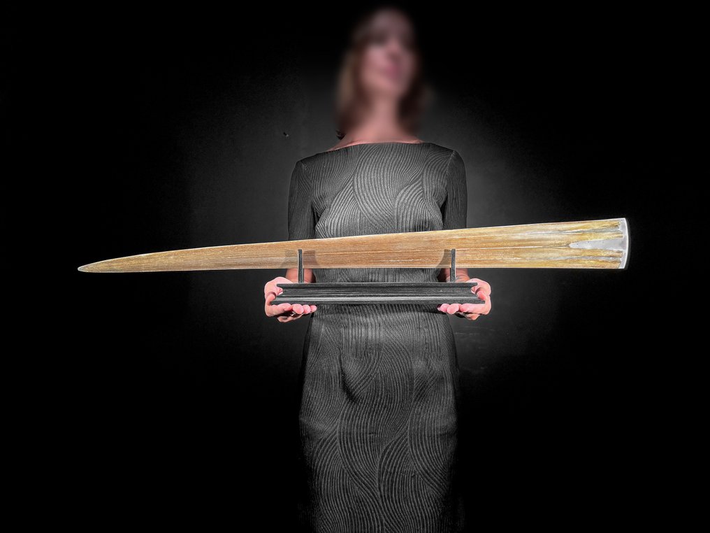 无底价 - 令人惊叹的大型雕刻剑鱼牙，带底座 - 象纹 架立式喙飾 - Xiphias Gladius - 13 cm - 86 cm - 6 cm- 非《瀕臨絕種野生動植物國際貿易公約》物種 #4.3