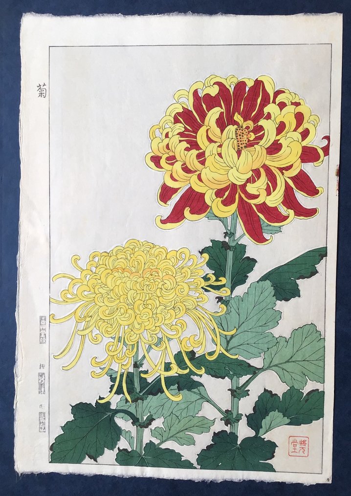 Chrysanthemum キクor菊 Kiku - Kawarazaki Shodo 河原崎奨堂 (1889-1973) - Published by Unsodo - 日本 #1.0