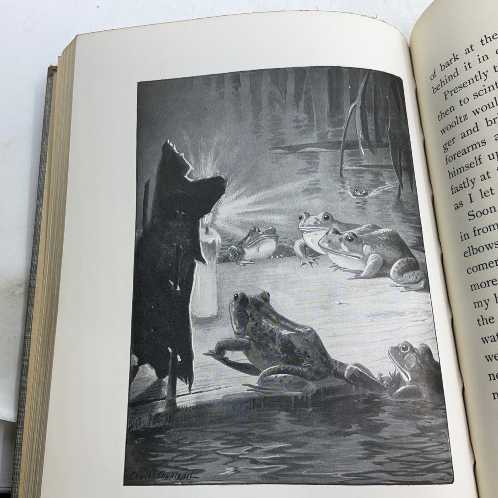 Ernest Thompson Seton & William J. Long - Seven Animal nature books for children by William J. Long and Ernest Thompson Seton - 1900-1925 #3.2