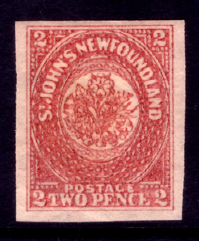 Νέα Γη και Λαμπραντόρ 1862/1864 - 2d rose-lake - Stanley Gibbons 17 #1.0