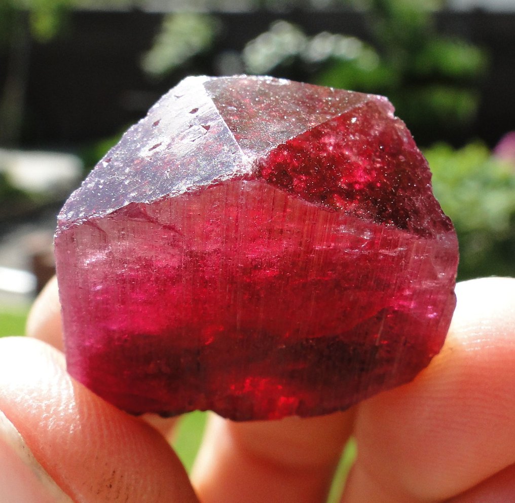 Turmalin Raspberry red Rubellite crystal - fantastisk färg!- 15.2 g #1.0