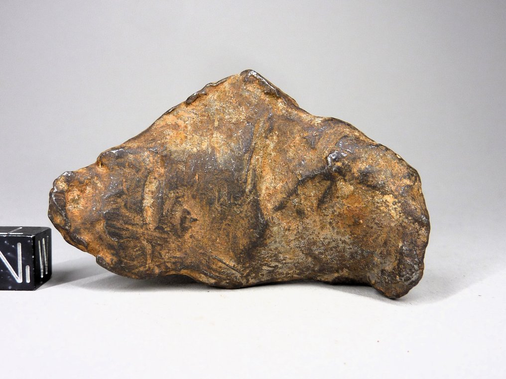 Meteorite Gebel Kamil Meteorite Ferroso - 160 g #2.1