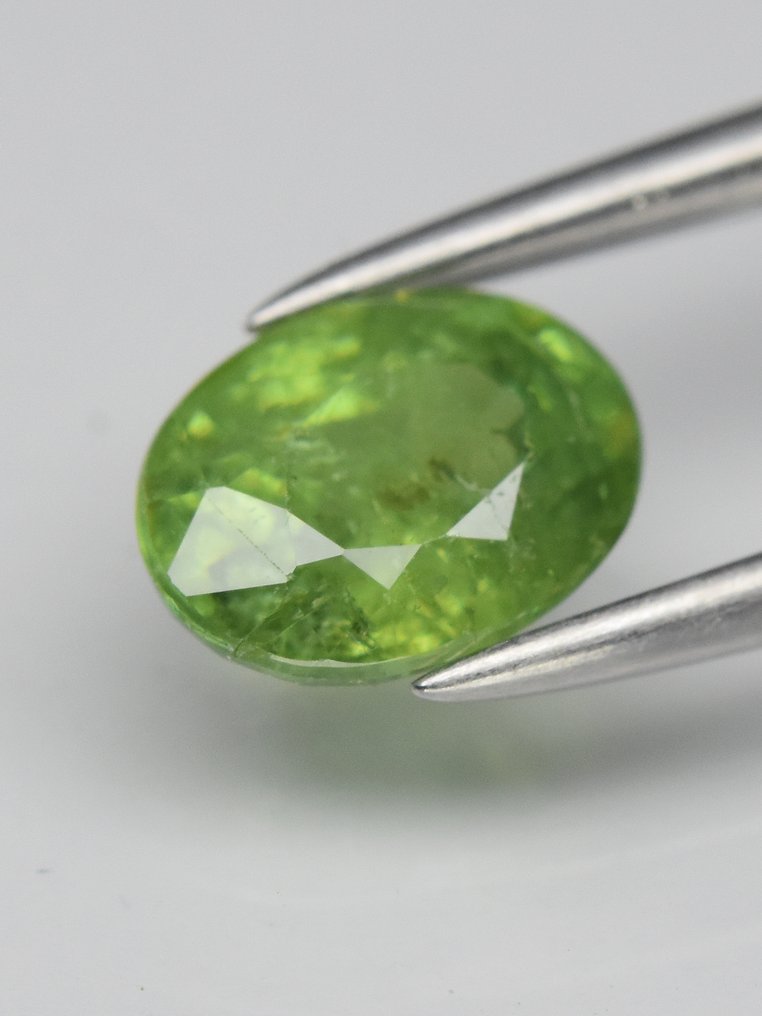 Senza prezzo di riserva - 1 pcs  Verde Granato, Demantoide  - 1.04 ct - Antwerp Laboratory for Gemstone Testing (ALGT) #1.0