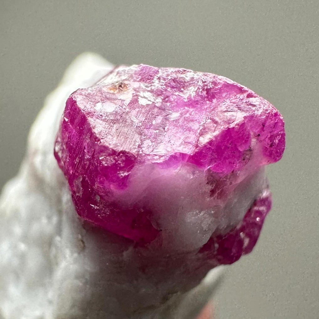 Rubis 82,13 carats ! taille 3,50 cm x 2,20 cm, afghane, sang rouge, rubis de la plus fine qualité, AA,- 16.42 g #2.1