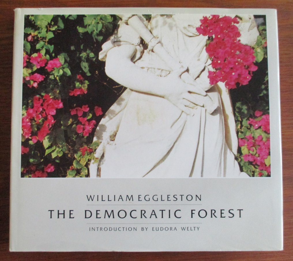 William Eggleston - The Democratic Forest - 1989 #1.0