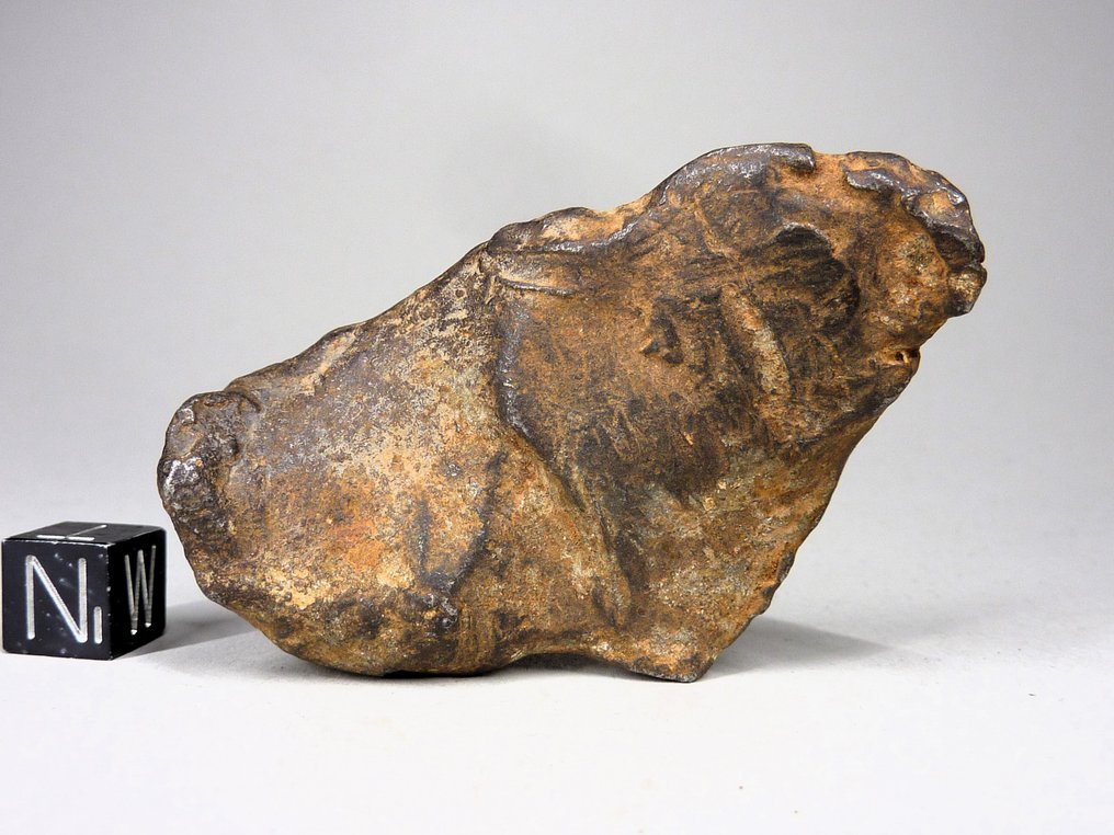 Meteorite Gebel Kamil Meteorite Ferroso - 160 g #3.2
