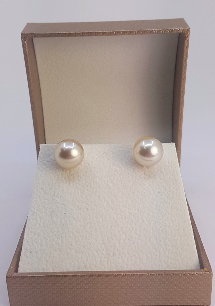 Boucles d'oreilles - 14 carats Or jaune, Perles de mer du Sud rondes douces dorées de 10x11 mm #3.2