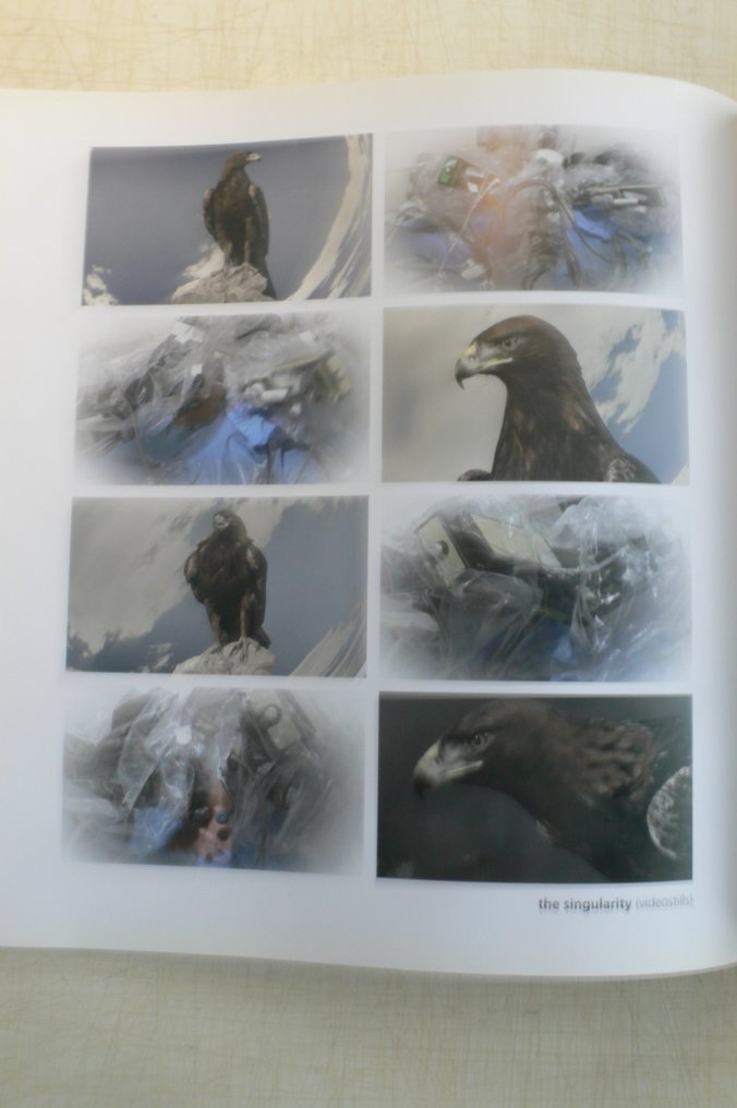 Signed, Michael Najjar - Bionic Angel - 2008 #4.3